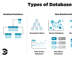 Database Management Systems